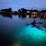Clear-Kayak-Manatee-Viewing-Sunset-Glow-Tour-of-Crystal-River-image-14.jpg_w=1000&h=1000&zoom=2