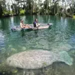 GOPR3055-2-scaled.jpg_w1600zoom2